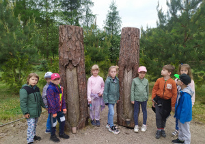 Dzieci poznają budowę i strukturę drewna